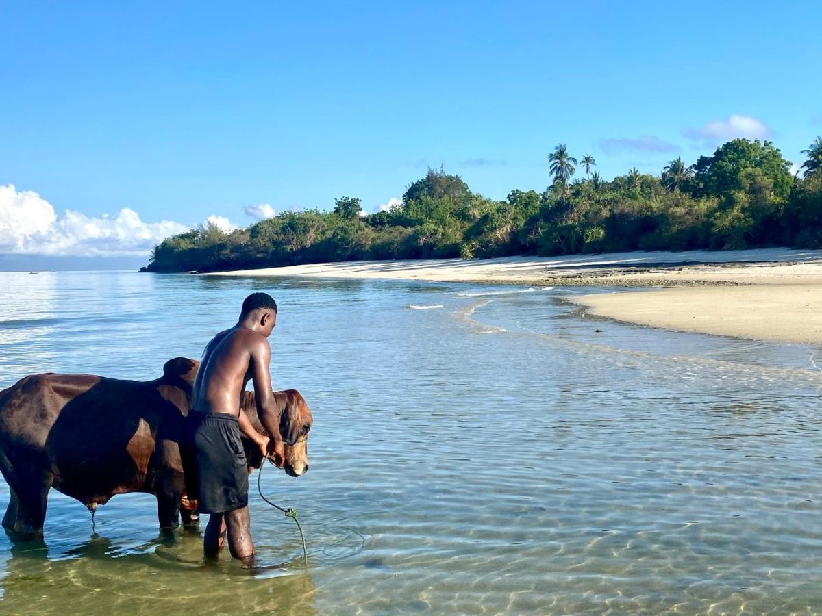 Kingstone Lodge Zanzibar Bet-el-Mali Kültér fotó