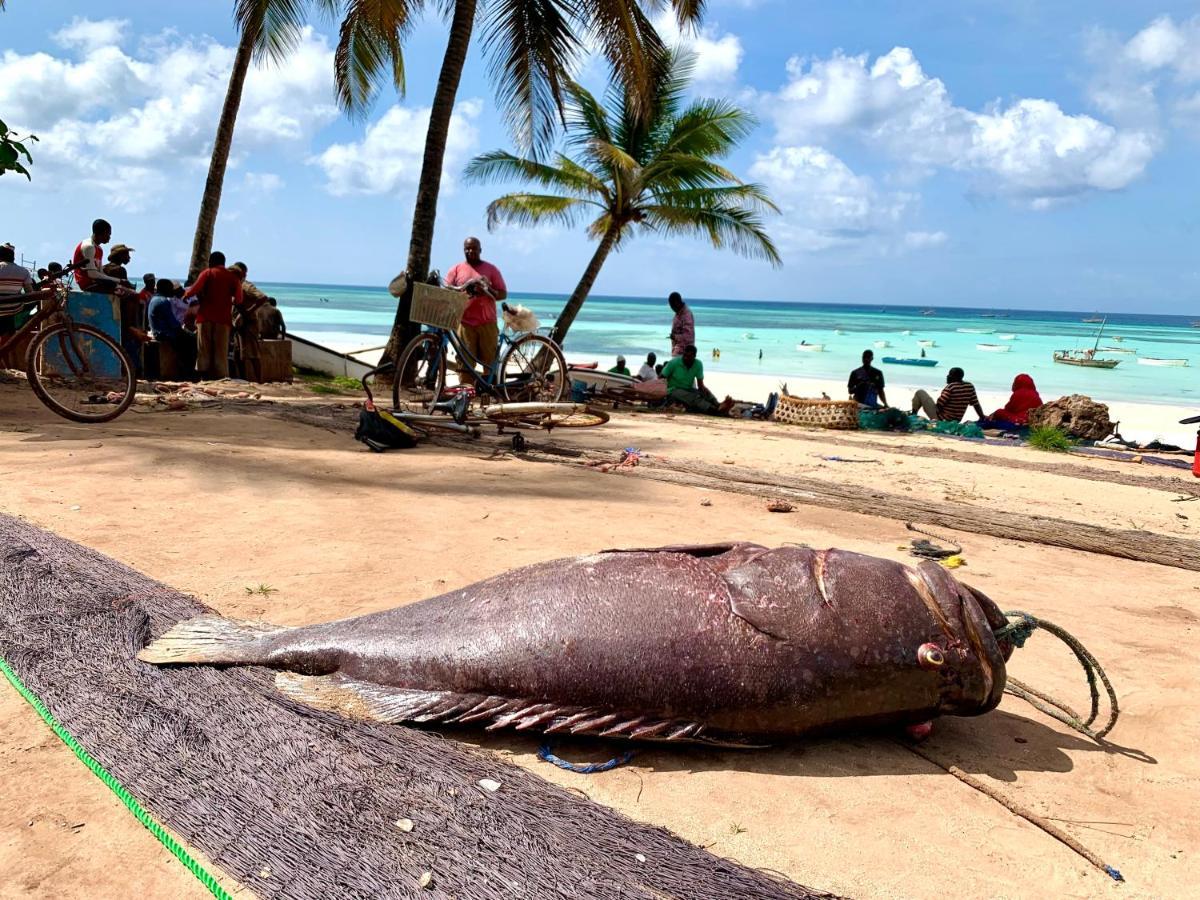 Kingstone Lodge Zanzibar Bet-el-Mali Kültér fotó